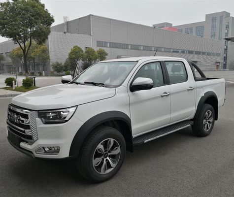 JAC 미니 디젤 가솔린 4X4/4X2 피크업 트럭